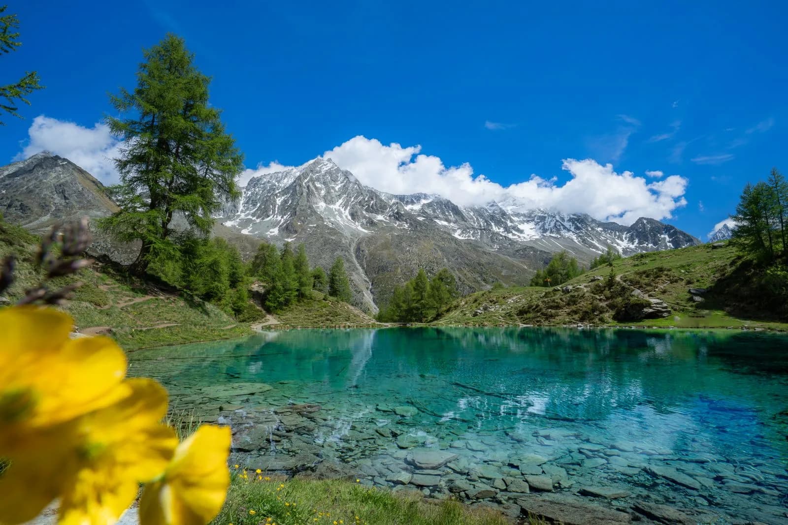 Le Lac Bleu d’Arolla aux eaux turquoise, au pied des sommets enneigés