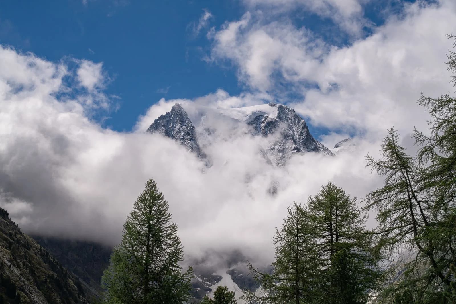 Sommet enneigé d’Arolla encadré par les mélèzes de la forêt