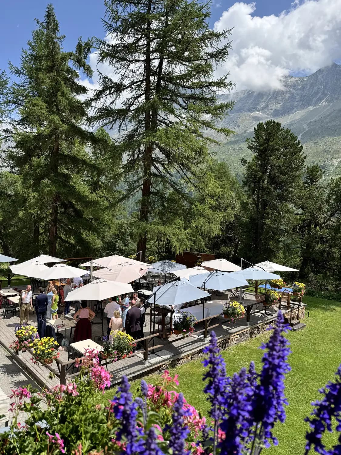 La terrasse en été, parasols et tables sous les mélèzes centenaires face aux sommets — Grand Hôtel & Kurhaus Arolla