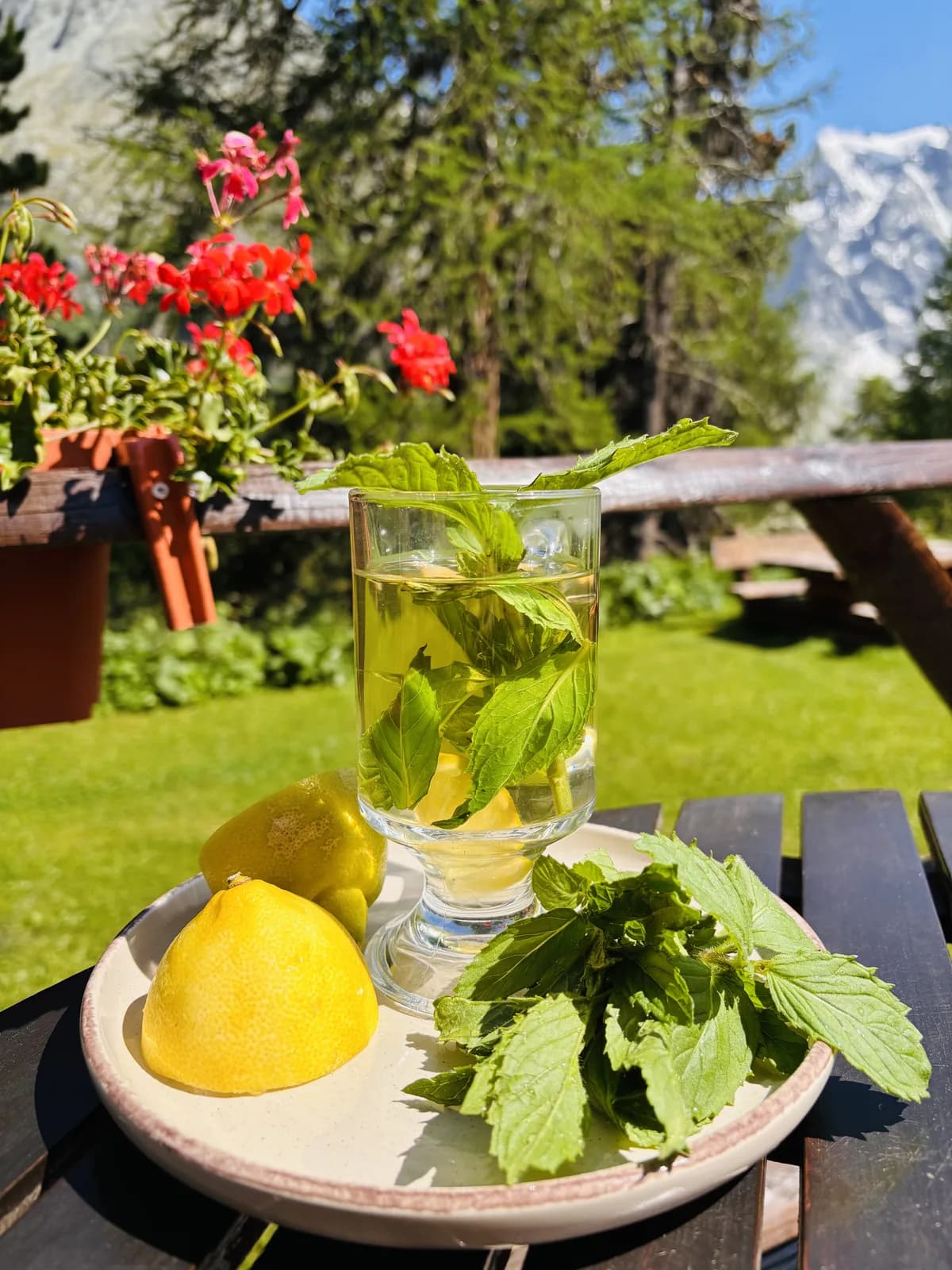 Infusion à la menthe fraîche et au citron sur la terrasse face aux glaciers — Grand Hôtel & Kurhaus Arolla